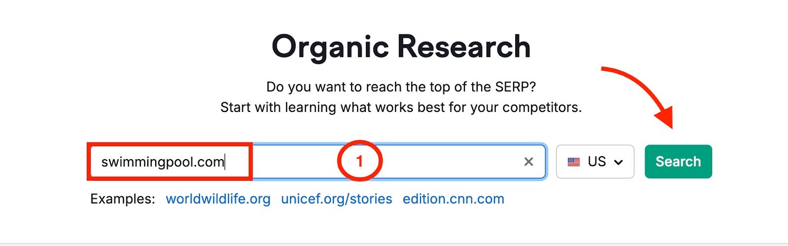 Organic Research start page featuring a field to enter a domain for analysis.